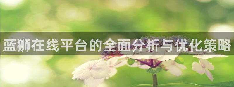 星耀国际注册网页版：蓝狮在线平台的全面分析与优化策略