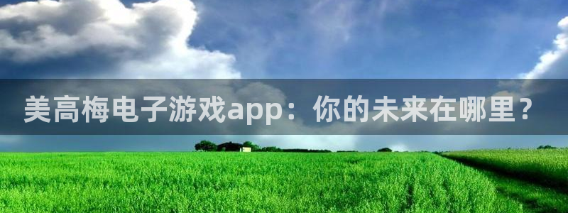 星耀国际体育4：美高梅电子游戏app：你的未来在哪里？