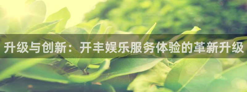 星耀国际能源：升级与创新：开丰娱乐服务体验的革新升级