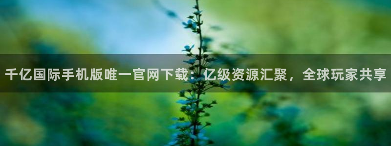 星耀国际3注册：千亿国际手机版唯一官网下载：亿级资源汇聚，全球玩家共享