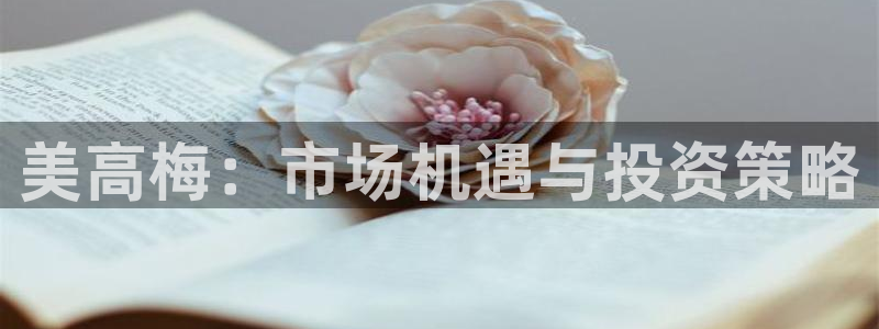 星耀国际体育1招商：美高梅：市场机遇与投资策略