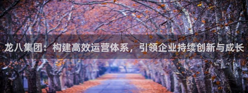 星耀国际3官网：龙八集团：构建高效运营体系，引领企业持续创新与成长