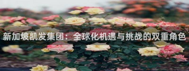 星耀国际网站登录流程：新加坡凯发集团：全球化机遇与挑战的双重角色