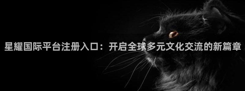 星耀国际5注册：星耀国际平台注册入口：开启全球多元文化交流的新篇章