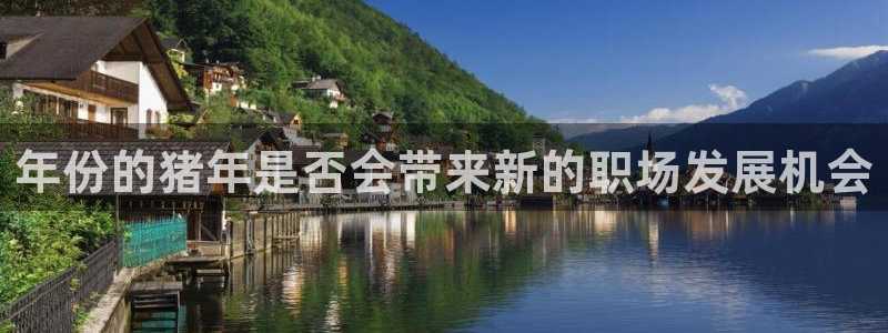 星耀国际体育4：年份的猪年是否会带来新的职场发展机会