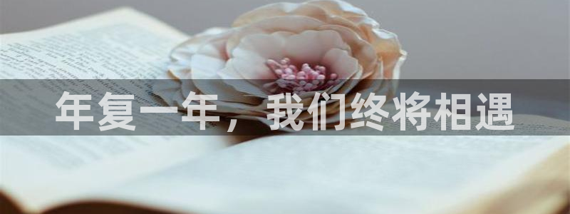星耀国际注册入口与教程：年复一年，我们终将相遇