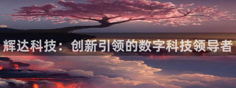 星耀国际pg：辉达科技：创新引领的数字科技领导者