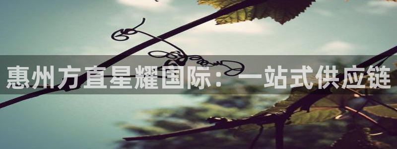 星耀国际app 是什么：惠州方直星耀国际：一站式供应链