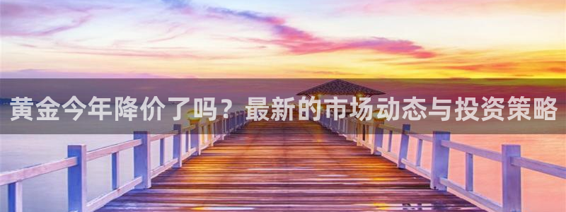 星耀国际电子有限公司