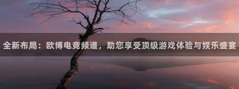 星耀国际电子娱乐官网下载：全新布局：欧博电竞频道，助您享受顶级游戏体验与娱乐盛宴