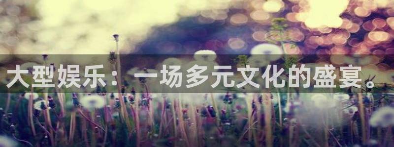 星耀国际kgame：大型娱乐：一场多元文化的盛宴。