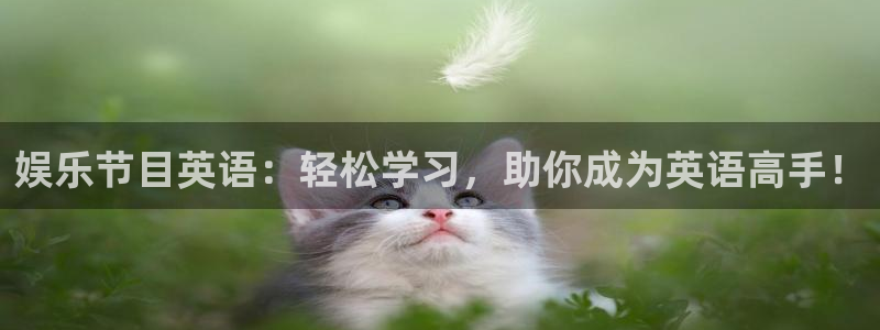 星耀国际kgame：娱乐节目英语：轻松学习，助你成为英语高手！