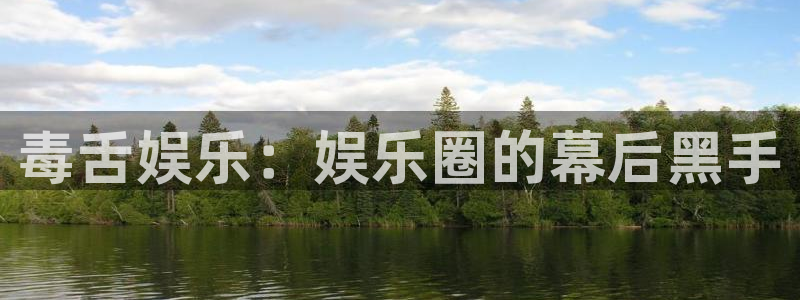 星耀国际体育凯捷平台代理：毒舌娱乐：娱乐圈的幕后黑手