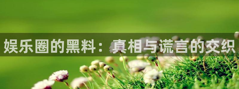 星耀国际是什么平台：娱乐圈的黑料：真相与谎言的交织