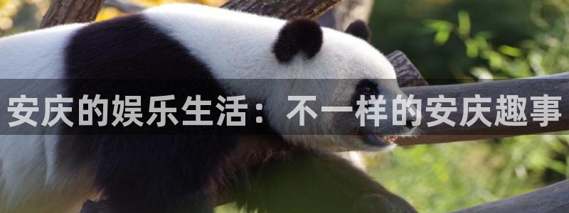 星耀国际是啥：安庆的娱乐生活：不一样的安庆趣事