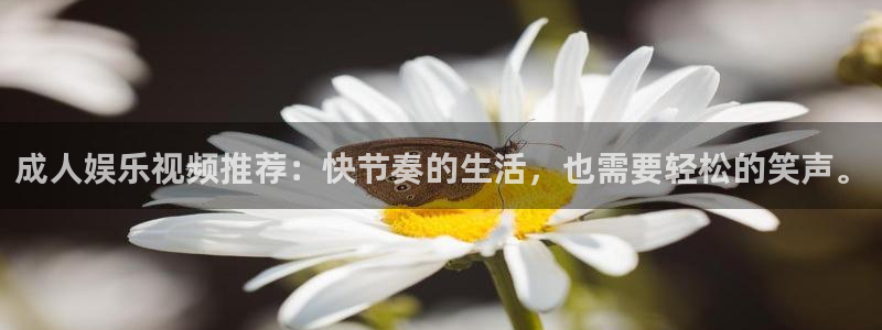 星耀国际的平台：成人娱乐视频推荐：快节奏的生活，也需要轻松的笑声。