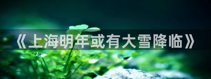 南宫星耀国际官网下载链接：《上海明年或有大雪降临》