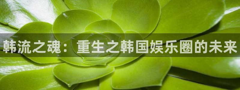 星耀国际官网入口：韩流之魂：重生之韩国娱乐圈的未来