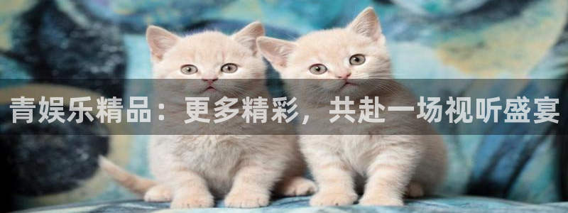 星耀国际2登录入口：青娱乐精品：更多精彩，共赴一场视听盛宴