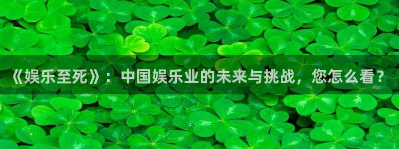 星耀国际体育4：《娱乐至死》：中国娱乐业的未来与挑战，您怎么看？