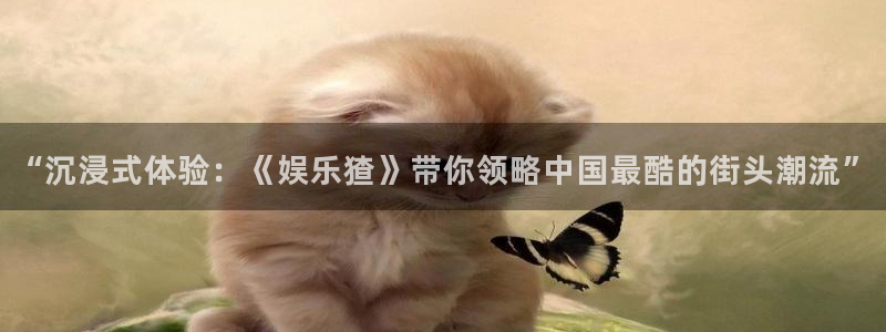 星耀国际在线下载：“沉浸式体验：《娱乐猹》带你领略中国最酷的街头潮流”