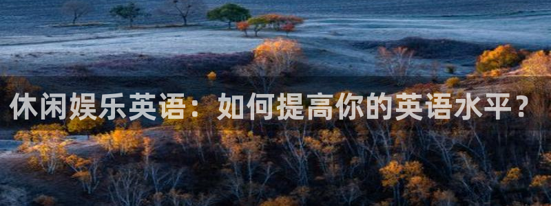 佛山市南海星耀国际机电仪器有限公司：休闲娱乐英语：如何提高你的英语水平？