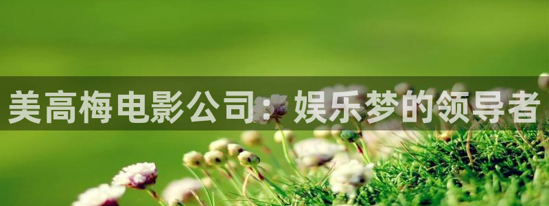 星耀国际下载