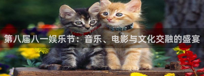 星耀国际加拿大官网：第八届八一娱乐节：音乐、电影与文化交融的盛宴