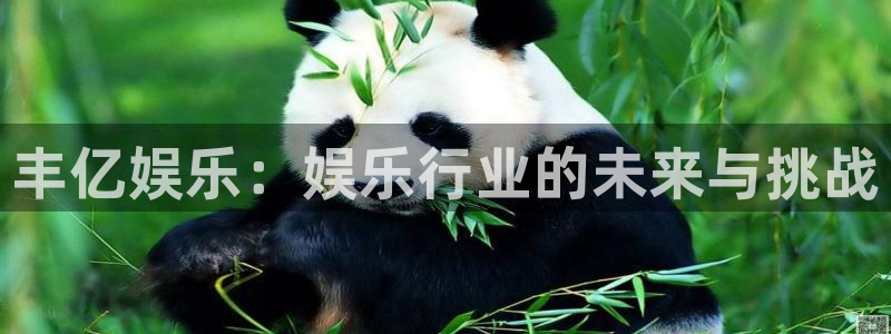 星耀国际是什么：丰亿娱乐：娱乐行业的未来与挑战