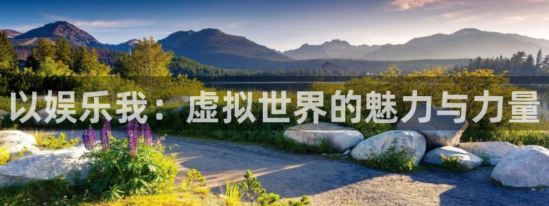 星耀国际vk：以娱乐我：虚拟世界的魅力与力量