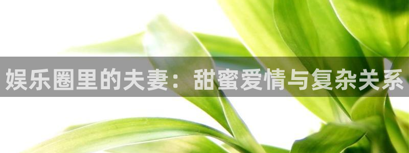 南宫星耀国际官网版：娱乐圈里的夫妻：甜蜜爱情与复杂关系