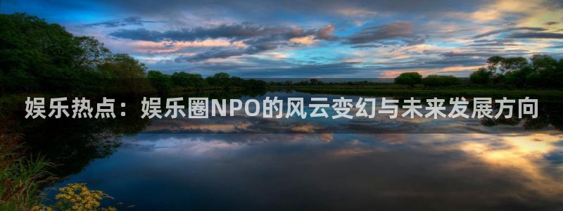 星耀国际注册登录入口：娱乐热点：娱乐圈NPO的风云变幻与未来发展方向