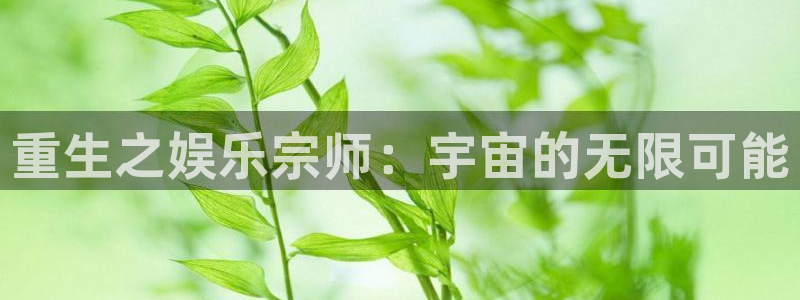 星耀国际2平台：重生之娱乐宗师：宇宙的无限可能