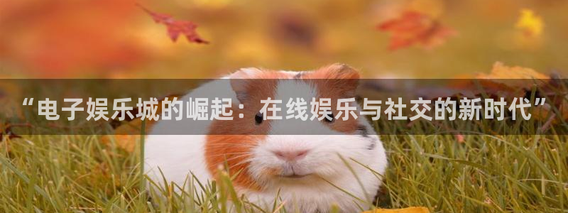 星耀国际体育用品：“电子娱乐城的崛起：在线娱乐与社交的新时代”
