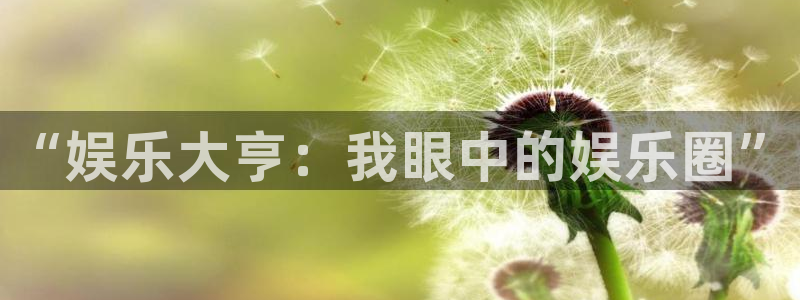 星耀国际体育f开号：“娱乐大亨：我眼中的娱乐圈”