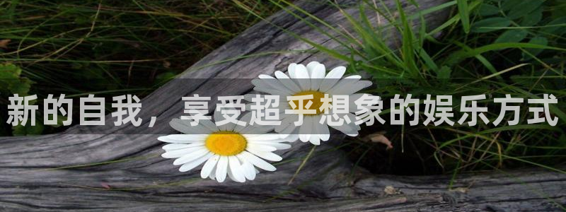 星耀国际平台注册账号：新的自我，享受超乎想象的娱乐方式