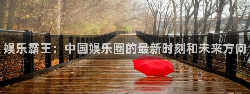 星耀国际路线1：娱乐霸王：中国娱乐圈的最新时刻和未来方向