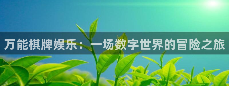 星耀国际ccm赏金女王：万能棋牌娱乐：一场数字世界的冒险之旅