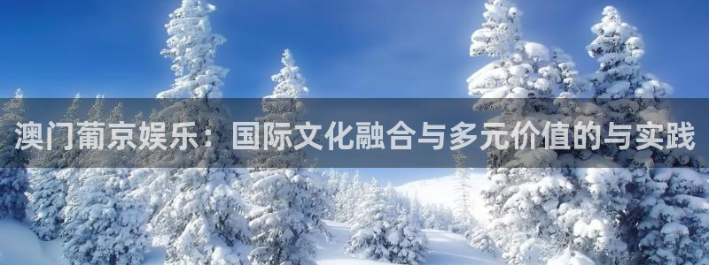 星耀国际游戏有哪些好玩的：澳门葡京娱乐：国际文化融合与多元价值的与实践