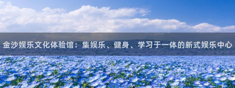 星耀国际3登陆：金沙娱乐文化体验馆：集娱乐、健身、学习于一体的新式娱乐中心