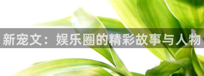 星耀国际体育在线注册：新宠文：娱乐圈的精彩故事与人物