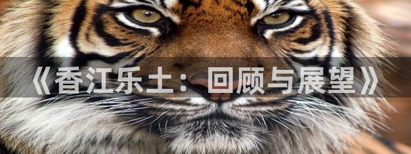 星耀国际体育4：《香江乐土：回顾与展望》