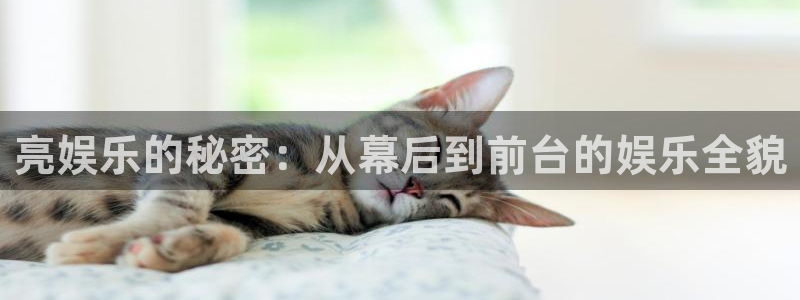星耀国际平台官方网站：亮娱乐的秘密：从幕后到前台的娱乐全貌