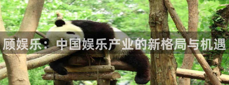 星耀国际pg电子游戏在线玩：顾娱乐：中国娱乐产业的新格局与机遇