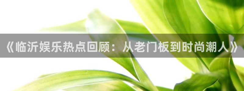 星耀国际凯捷平台：《临沂娱乐热点回顾：从老门板到时尚潮人》