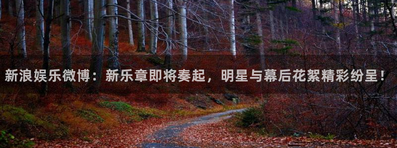 星耀国际下载入口：新浪娱乐微博：新乐章即将奏起，明星与幕后花絮精彩纷呈！